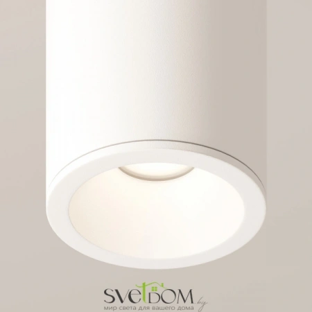 Потолочные светильники Maytoni C029CL-01-S-W от Магазина Svetdom.by