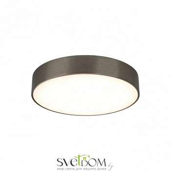 Светильник настенно-потолочный Aployt  APL.0114.19.24