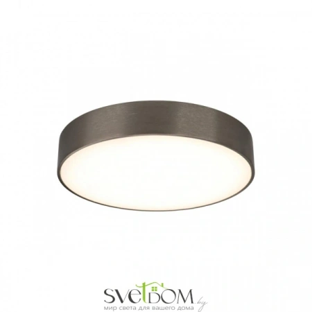 Настенно-потолочные светильники Aployt APL.0114.19.24 от Магазина Svetdom.by