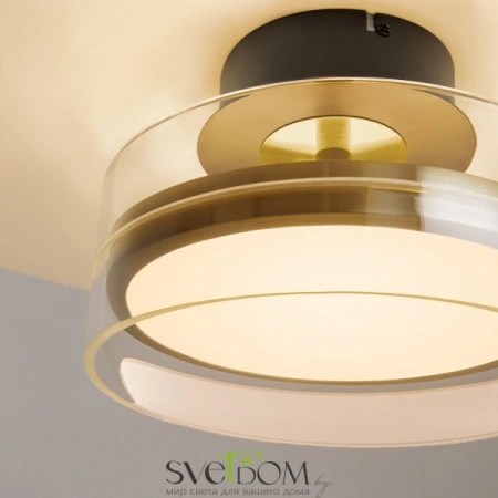 Потолочные светильники Maytoni MOD348CL-L18BBS3K от Магазина Svetdom.by