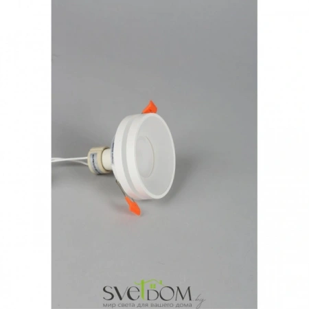 Накладные светильники Omnilux OML-102709-01 от Магазина Svetdom.by