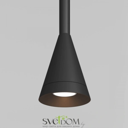 Подвесные светильники Maytoni P064PL-01B-1 от Магазина Svetdom.by