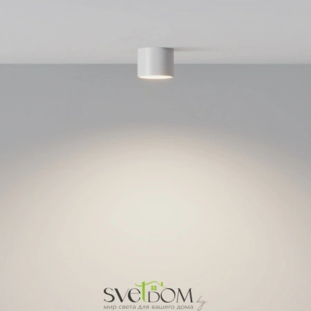 Потолочные светильники Maytoni C096L-GX53-WBS от Магазина Svetdom.by