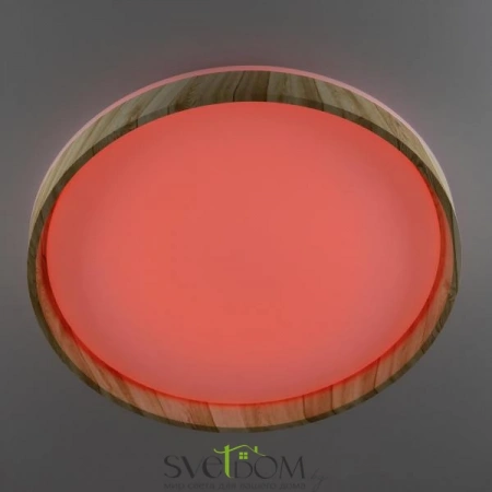 Потолочные светильники CITILUX CL753452G от Магазина Svetdom.by