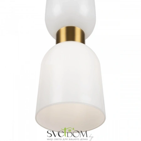 Подвесные светильники Freya FR5203PL-01BS от Магазина Svetdom.by