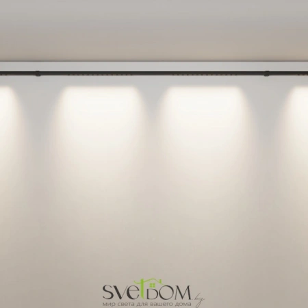 Светильники Maytoni C101CL-L1000-24W3-6K-B от Магазина Svetdom.by