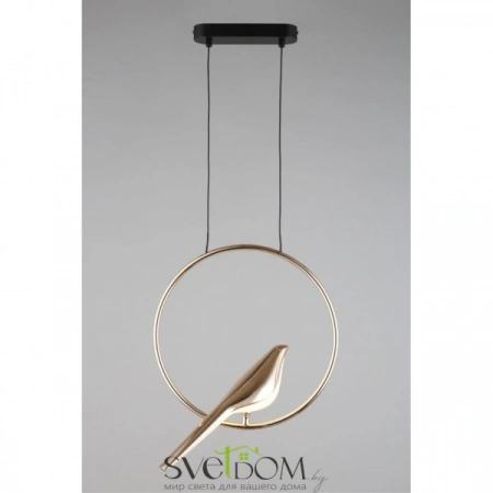 Фото Подвесные светильники Aployt APL.822.06.10 Подвесные светильники Aployt APL.822.06.10 от Магазина Svetdom.by