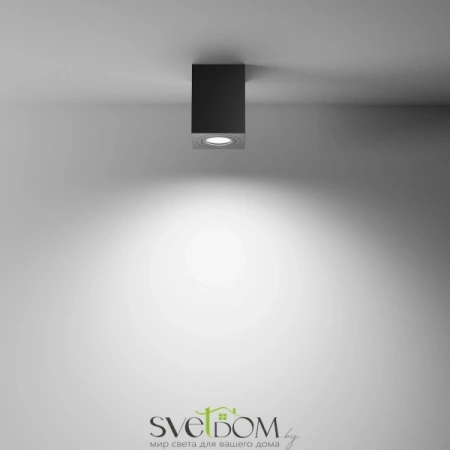 Потолочные светильники Maytoni C017CL-01B от Магазина Svetdom.by