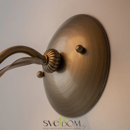 Настенные светильники H311-01-G Maytoni | Svetdom.by