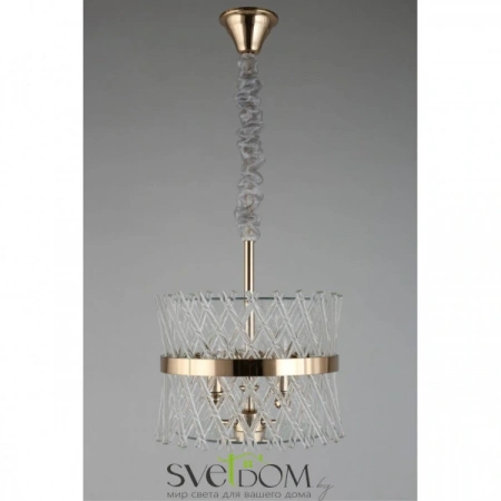 Подвесные светильники Aployt APL.734.06.03 от Магазина Svetdom.by