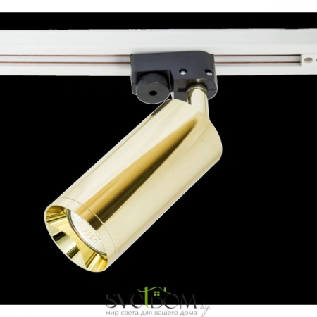 TR004-1-GU10-G Maytoni