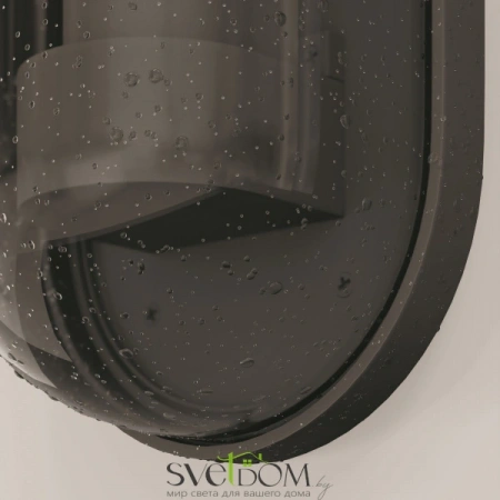 Бра O449WL-01GF Maytoni | Svetdom.by