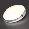Настенно-потолочный светильник SONEX OLIDI WHITE 7646/CLN