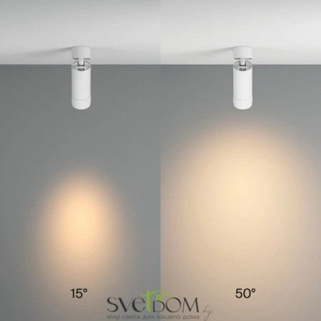 Потолочные светильники Maytoni C055CL-L12W3K-Z-W от Магазина Svetdom.by