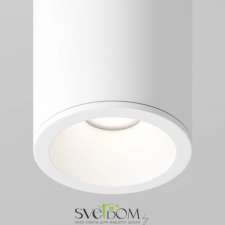 Потолочные светильники Maytoni C029CL-01-S-W от Магазина Svetdom.by