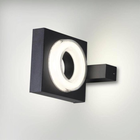 6654/6WL NATURE ODL24 623 черный/металл Уличный настенный светильник IP54 LED 6W 4000K AC85-265V VART Odeon Light