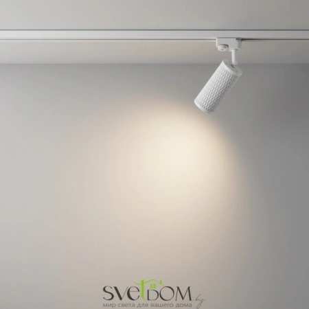 TR011-1-GU10-W Maytoni