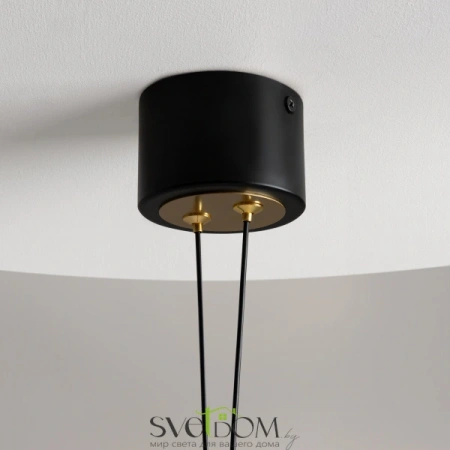 Подвесные светильники Maytoni MOD357PL-L14BS3K от Магазина Svetdom.by