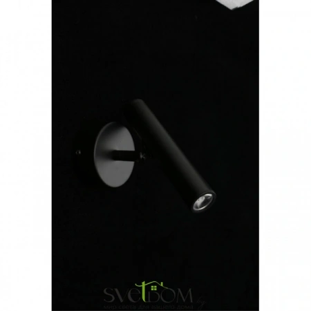 Настенные светильники APL.067.01.03 Aployt | Svetdom.by