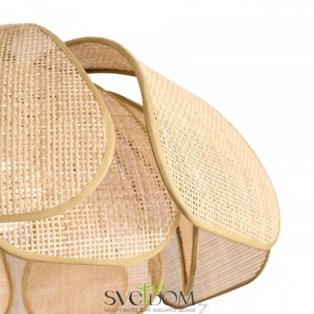 Подвесные светильники Freya FR5529PL-01B от Магазина Svetdom.by