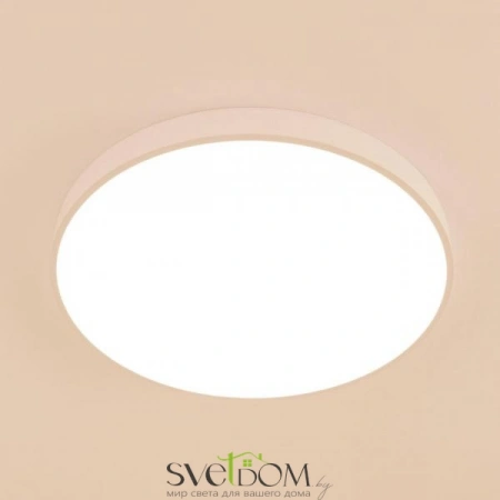 Потолочные светильники CITILUX CL724105G0 от Магазина Svetdom.by