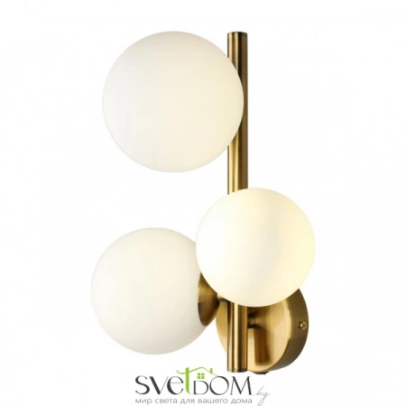 Настенные светильники APL.314.01.03 Aployt | Svetdom.by