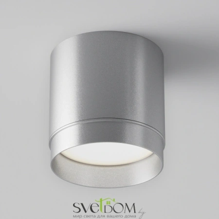 Потолочный светильник Technical C088CL-GX53-S Maytoni