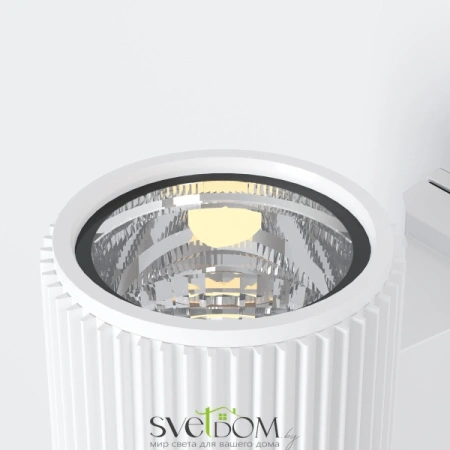 Настенный светильник (бра) Outdoor O419WL-01W Maytoni