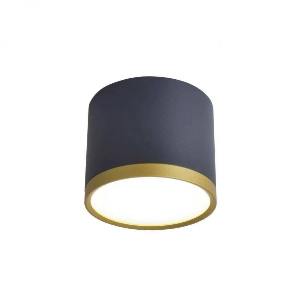 Потолочные светильники Favourite 3081-2C от Магазина Svetdom.by