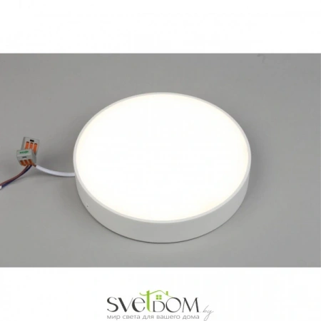 Настенно-потолочные светильники Aployt APL.0114.09.24 от Магазина Svetdom.by