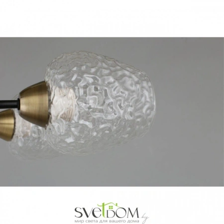 Люстры потолочныеOML-67807-06 Omnilux | Svetdom.by