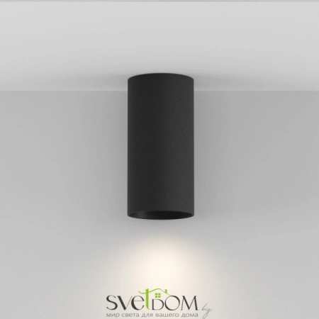 Потолочные светильники Maytoni C080CL-01-GU10-B от Магазина Svetdom.by