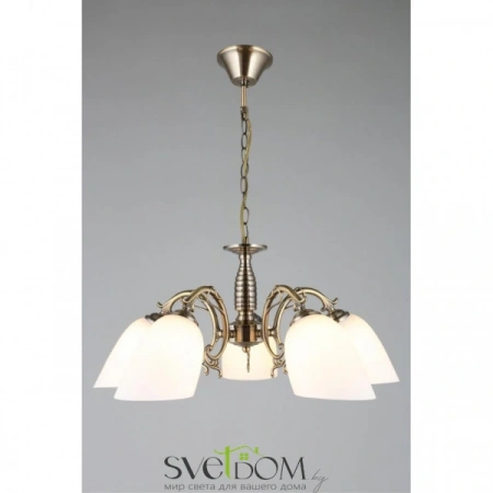 Люстры подвесныеOML-56407-05 Omnilux | Svetdom.by