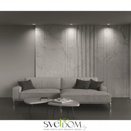 Встраиваемые светильники Maytoni DL003-01-W от Магазина Svetdom.by