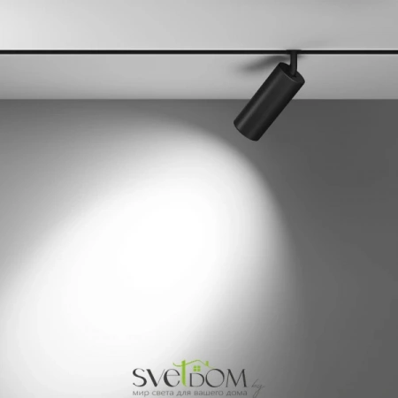 TR032-2-20W3K-S-B Maytoni