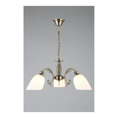 Люстра подвесная Omnilux  OML-56407-03 Omnilux