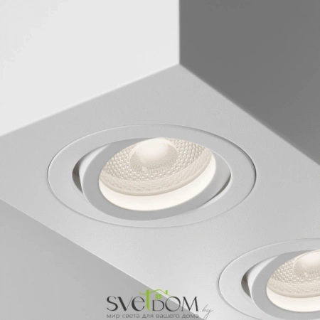 Потолочные светильники Maytoni C017CL-02W от Магазина Svetdom.by