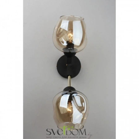 Настенные светильники OML-93701-02 Omnilux | Svetdom.by