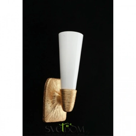 Настенные светильники APL.800.01.01 Aployt | Svetdom.by