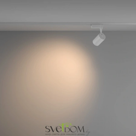 TR003-1-10W3K-W-W Maytoni