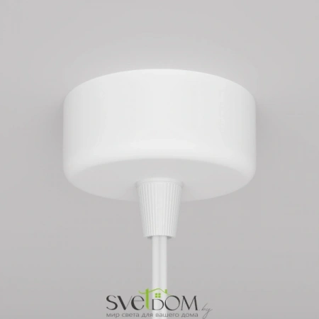 Подвесные светильники Maytoni P038PL-01W от Магазина Svetdom.by