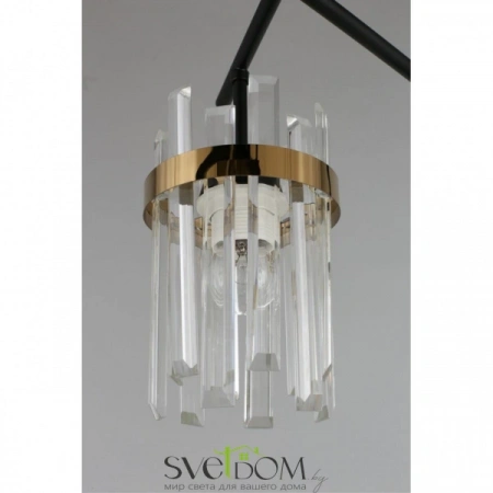 Люстры потолочныеOML-67707-06 Omnilux | Svetdom.by