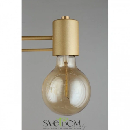 Люстры потолочныеAPL.911.07.09 Aployt | Svetdom.by