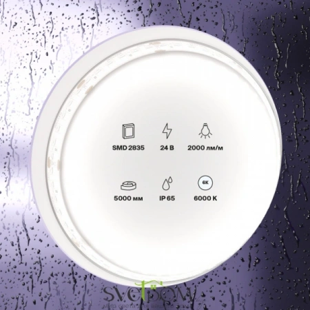 Светодиодная лента 24В 2835 20Вт/м 6000K 5м IP65 10159