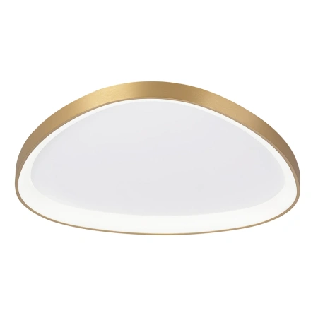 Потолочная люстра Citilux GENKA SMART CL756A162 CITILUX