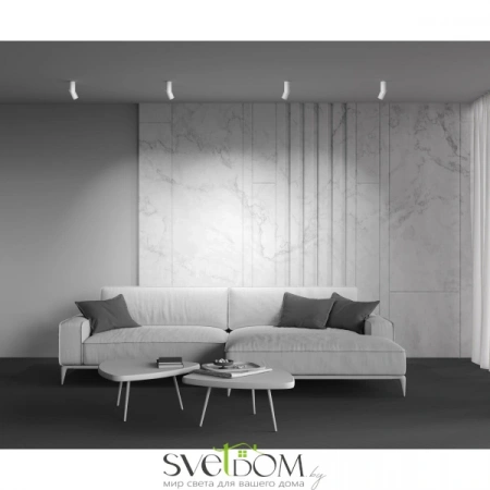 Потолочные светильники Maytoni C027CL-L10W от Магазина Svetdom.by