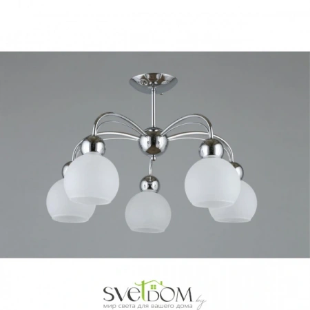 Люстры потолочныеOML-66307-05 Omnilux | Svetdom.by
