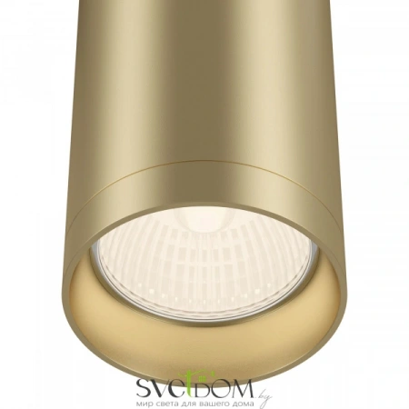 Потолочные светильники Maytoni C010CL-01MG от Магазина Svetdom.by