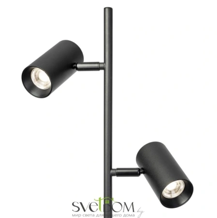 Citilux Twin CL809011N Торшер светодиодный Чёрный CITILUX
