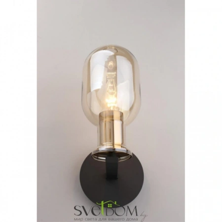 Настенные светильники APL.901.01.01 Aployt | Svetdom.by